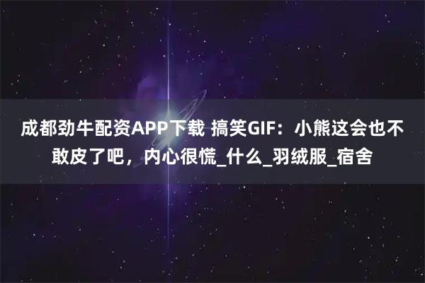 成都劲牛配资APP下载 搞笑GIF：小熊这会也不敢皮了吧，内心很慌_什么_羽绒服_宿舍