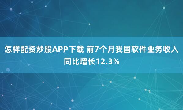 怎样配资炒股APP下载 前7个月我国软件业务收入同比增长12.3%